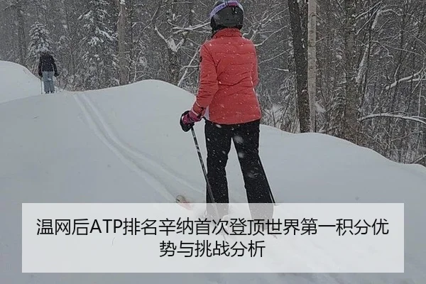 wen-wang-hou-pai-ming-xin-na-shou-ci-deng-ding-shi-jie-di-yi-ji-fen-you-shi-yu-tiao-zhan-fen-xi-3-728.jpg
